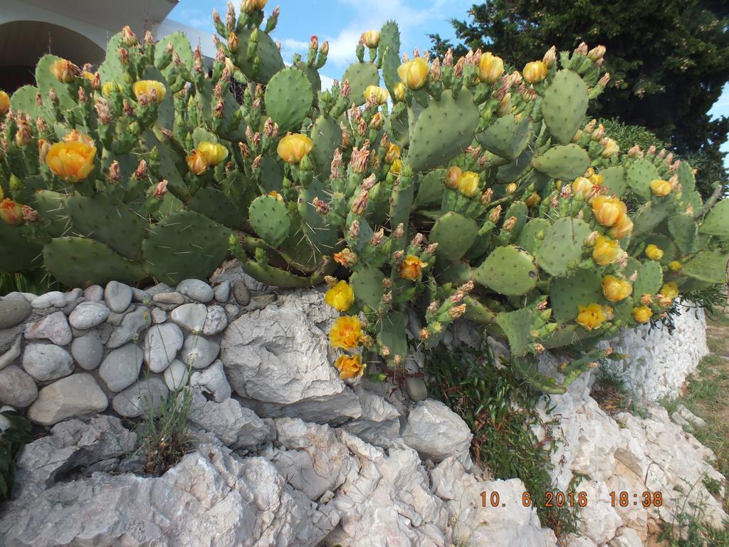 Apartments Amore Baška Eksteriør billede
